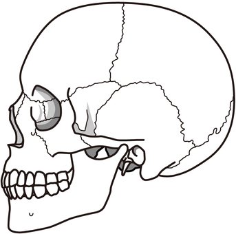 足利市ヘッドスパ