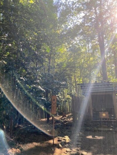 香取神宮で撮影した不思議な光