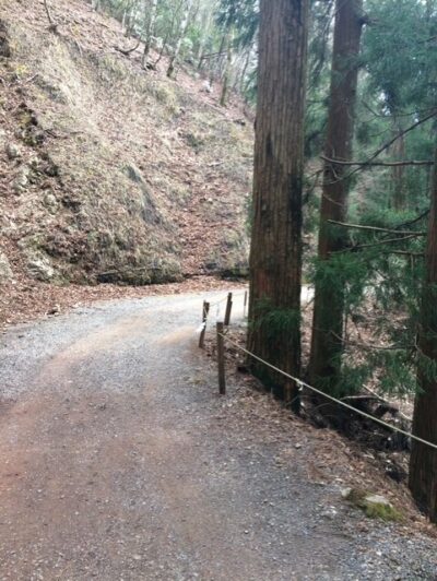 玉置神社への道中