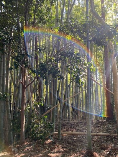 香取神宮の境内で虹がかかる
